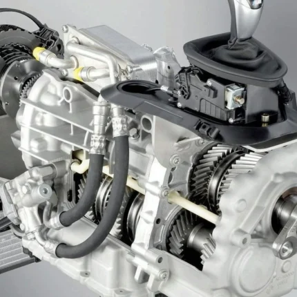 FWD V6 (M)
